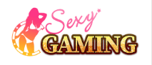 Sexy Baccarat logo